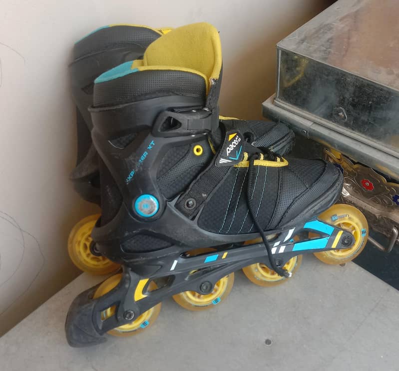 skates 1