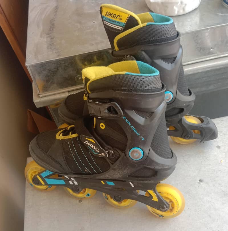 skates 3