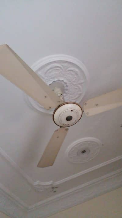 celling fan