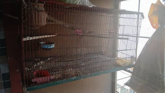 2 portion & 4 portion cage available  no issue