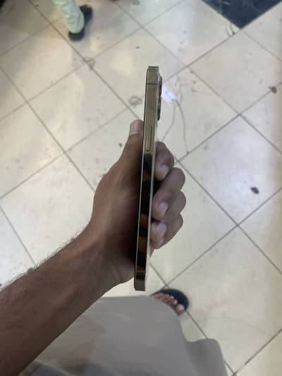 12 pro max pta approved dual sim