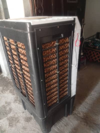 12v cooler argent sale