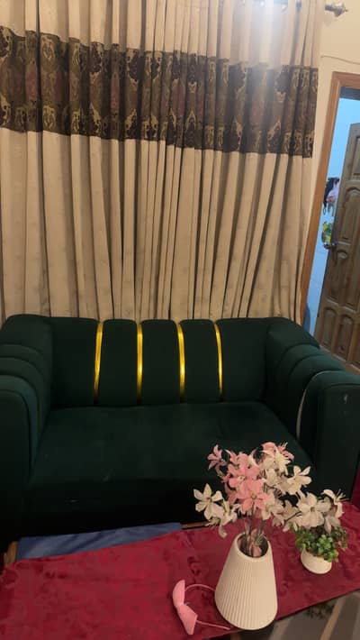 2 seats sofa bottle green color