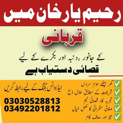 قصائی دستیاب ہے