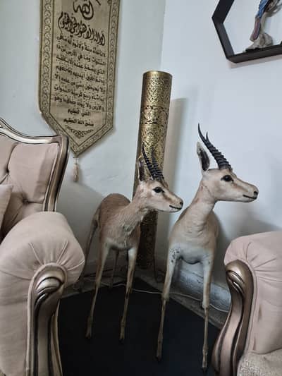 Original Stuffed Deer Pair