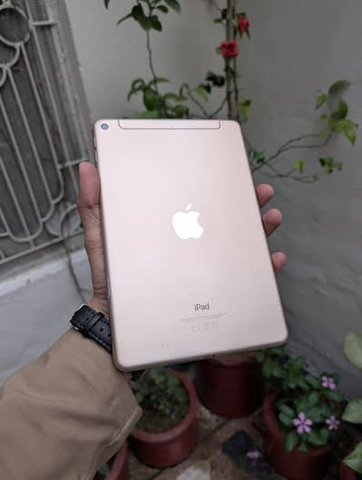 Ipad mini 5
