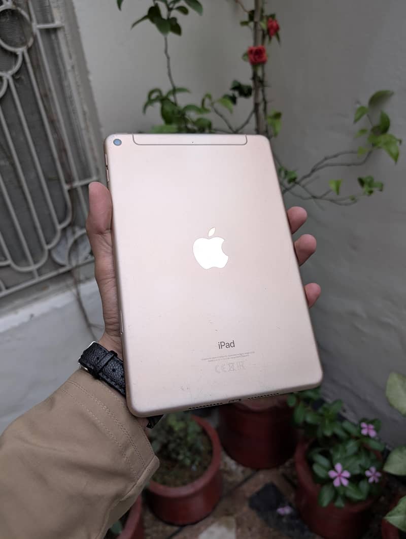 Ipad mini 5 0