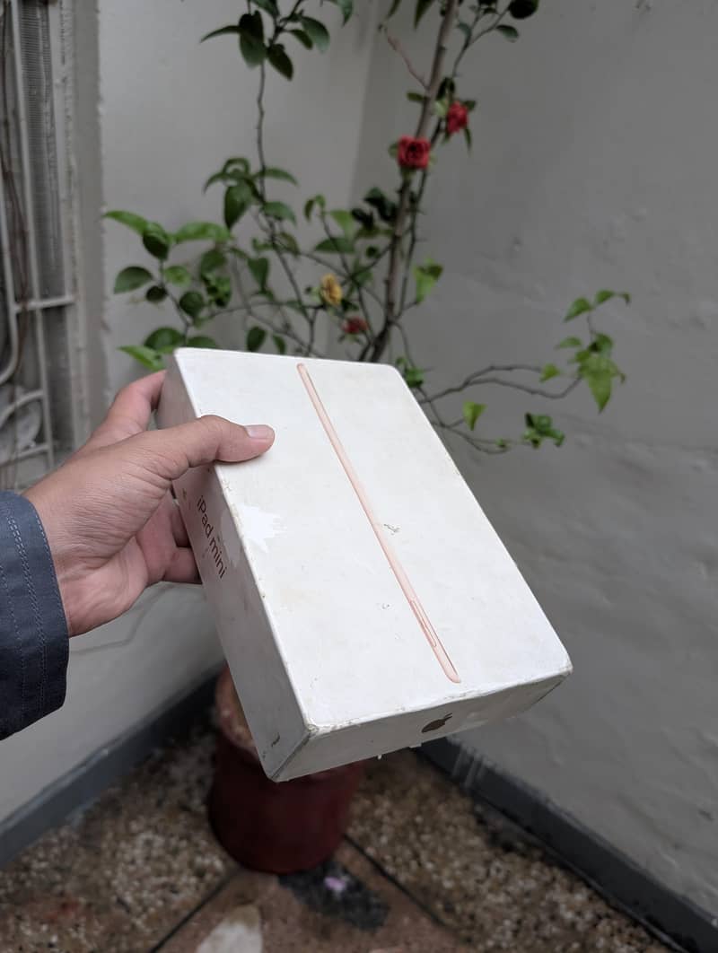 Ipad mini 5 6