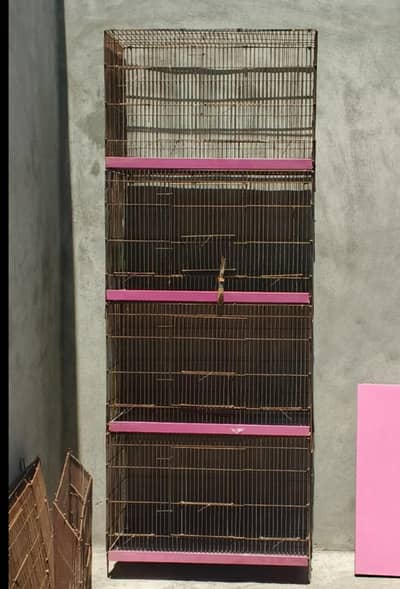 love birds Cage