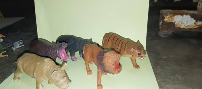 Animals , Dinosaurs , sea animals etc