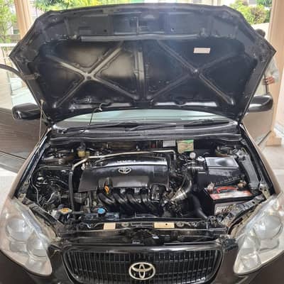 corora Altis1.8