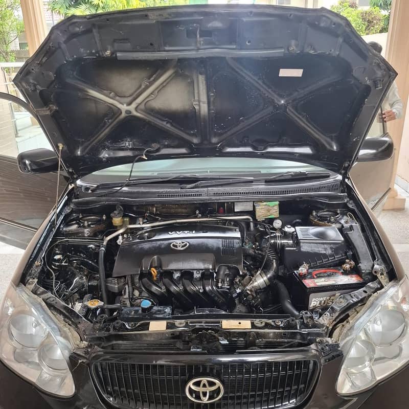 corora Altis1.8 0