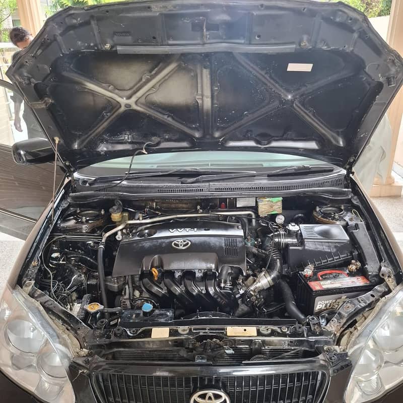 corora Altis1.8 3