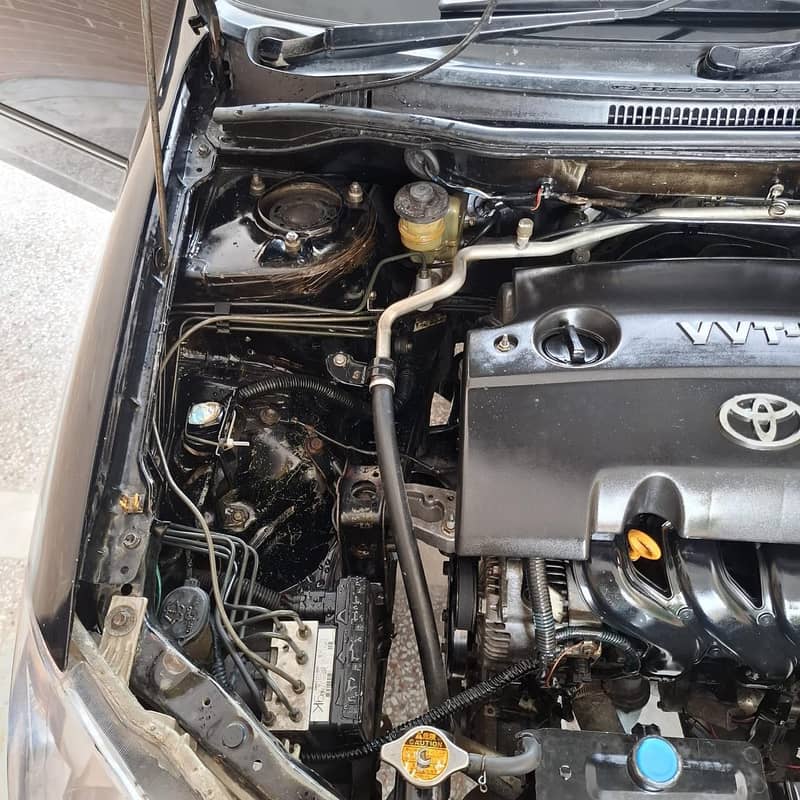 corora Altis1.8 5