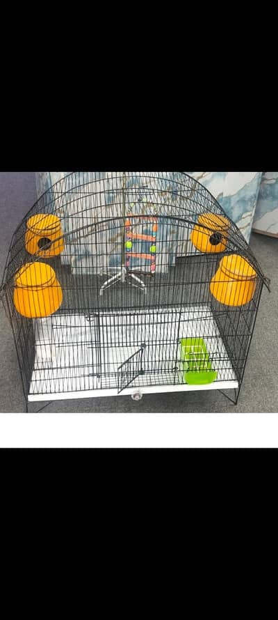 Parrots cage