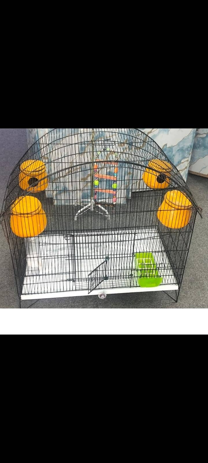Parrots cage 0