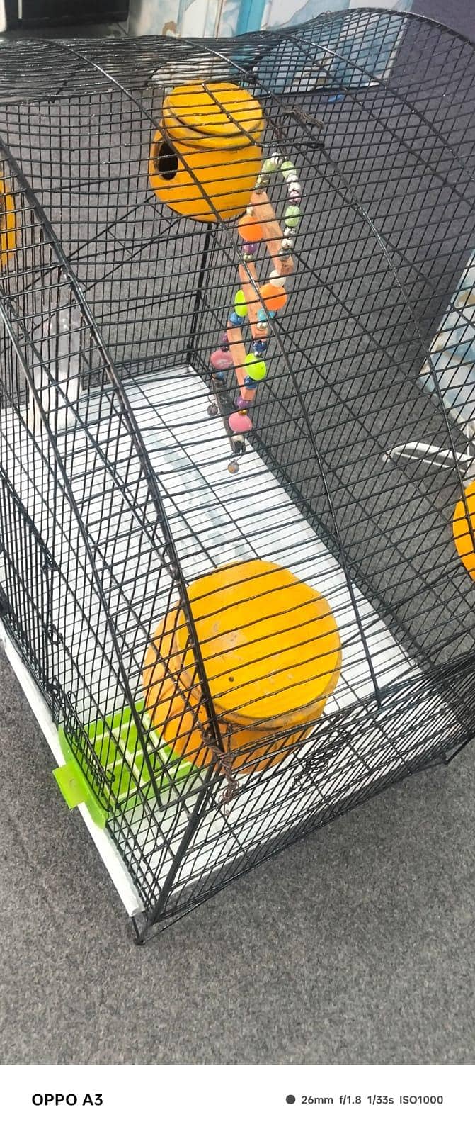 Parrots cage 2