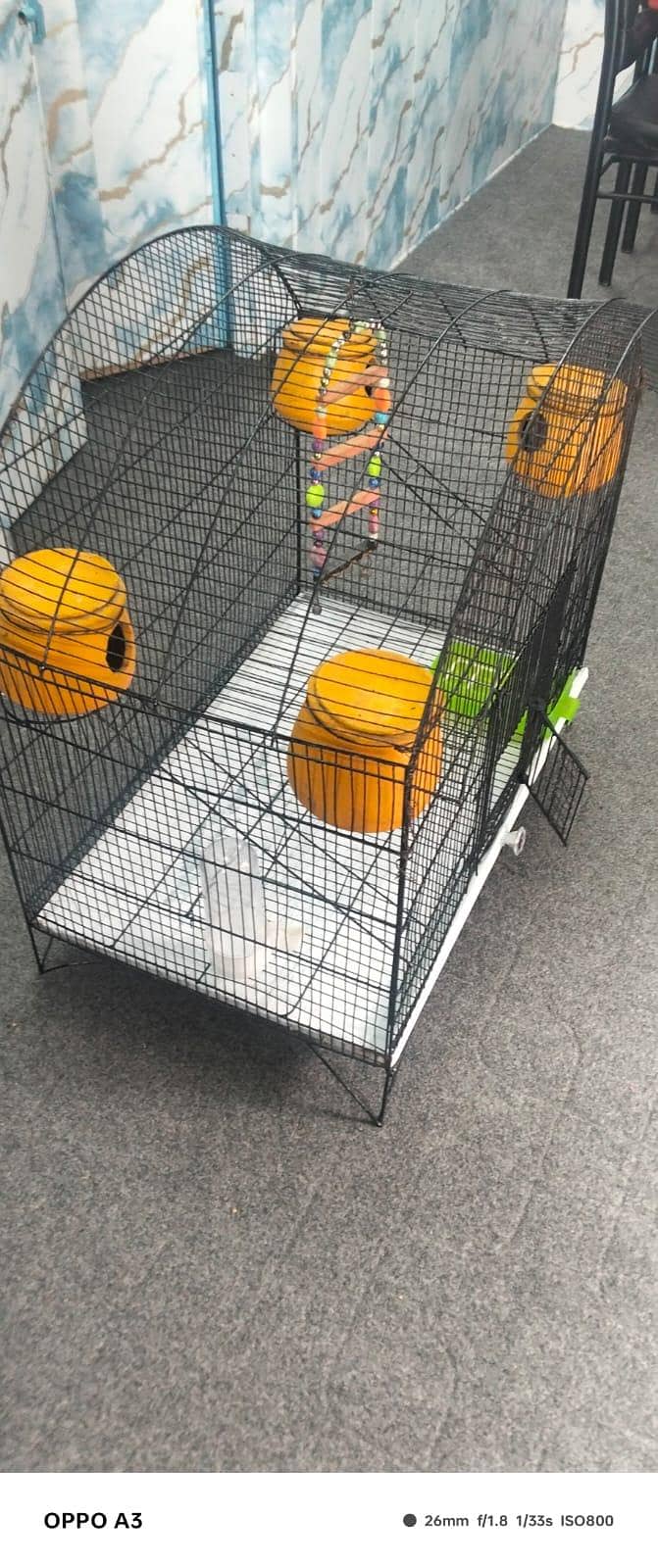 Parrots cage 3