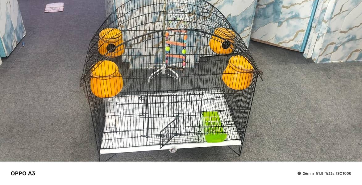 Parrots cage 4