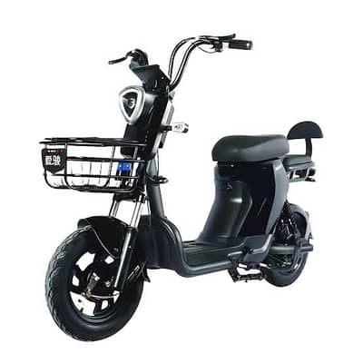YJ Future Zippy - Electric Bike