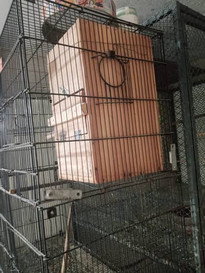 12 pair Zarar Company cage