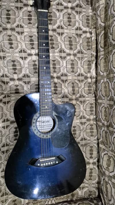 Nature - Acoustic Guitar- Best for Beginners