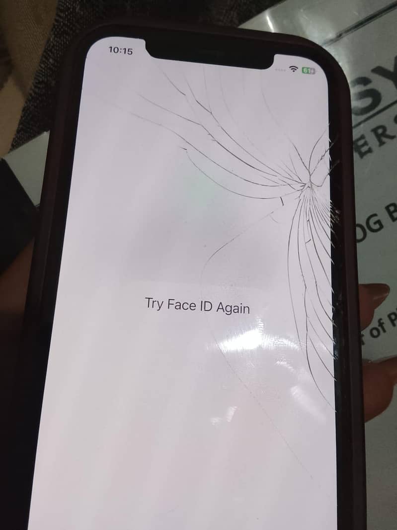 iPhone 12 19