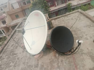 dish antenna network tv service 03020111515