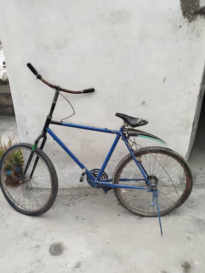 Bicycle for sale
