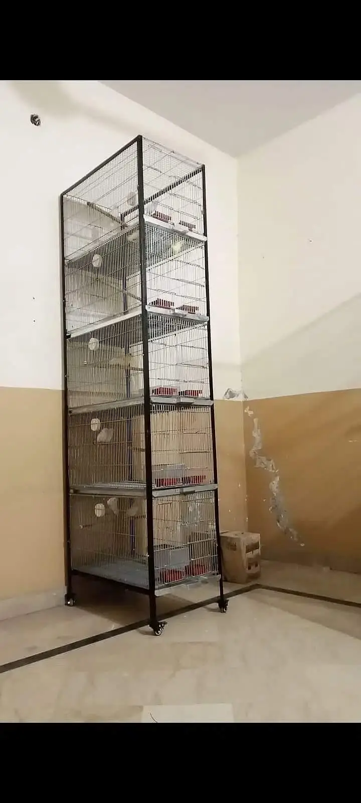 Love birds, boxes and cages — photo 6