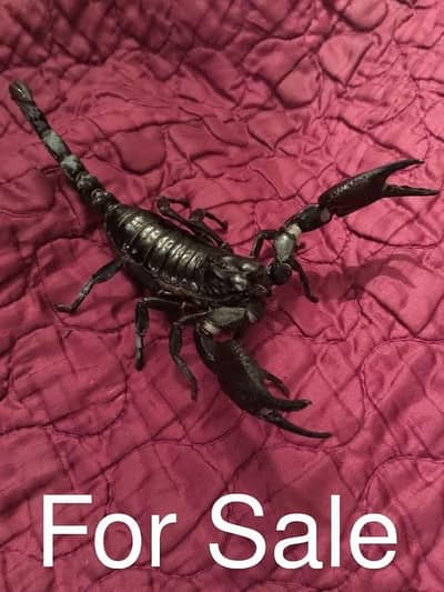 For sale