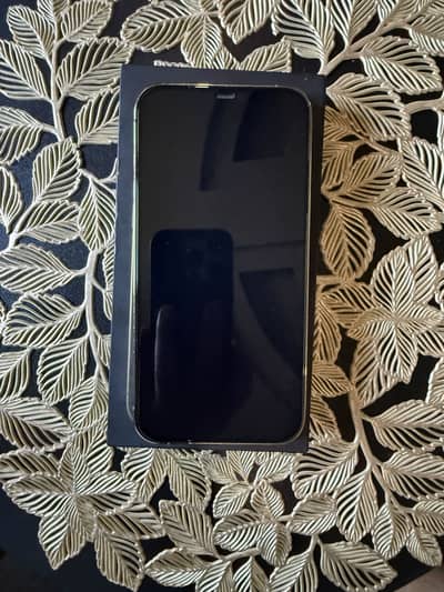 IPhone 12 Pro Max PTA Approved
