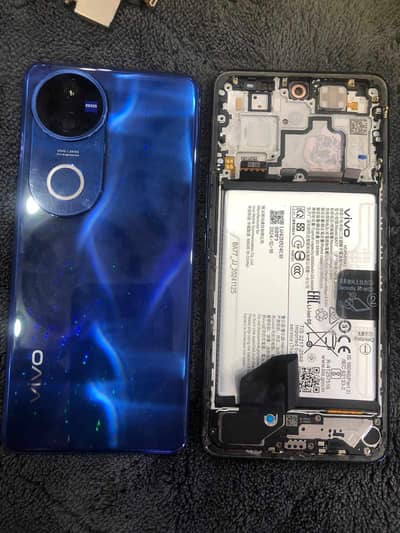 vivo v50