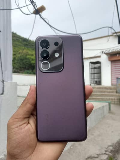 10by10 condition with box