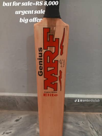 hard ball bat