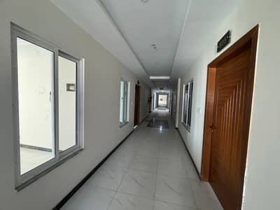 One Bedroom Brand New Apartment