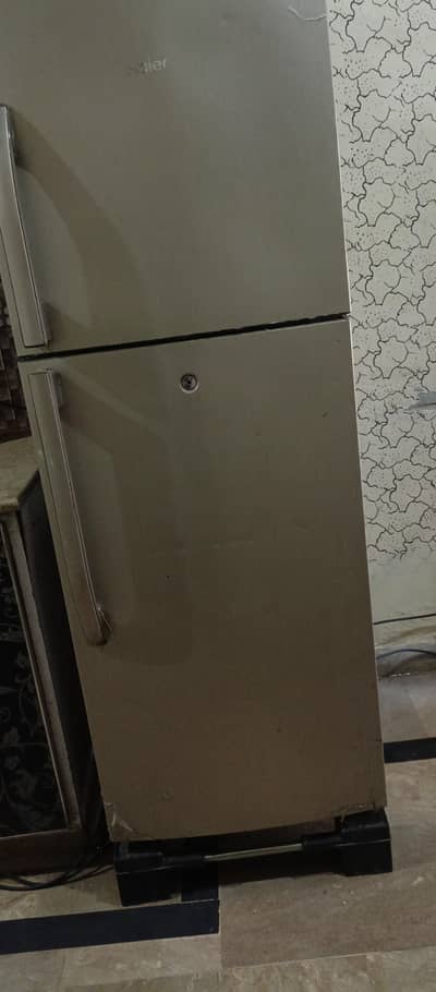 hairer fridge