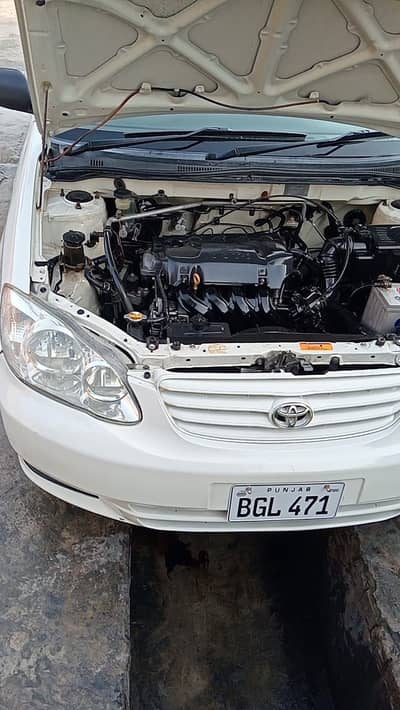 Corolla xli