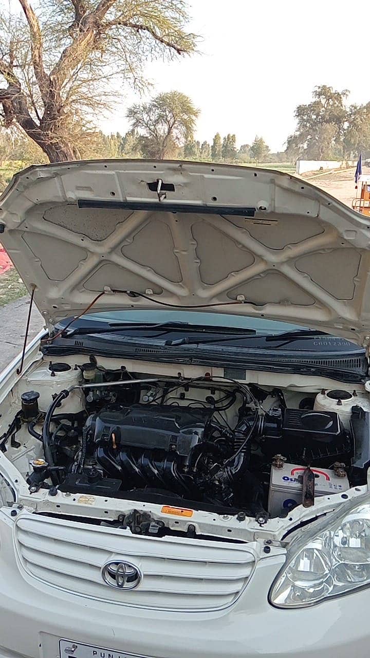 Corolla xli 6