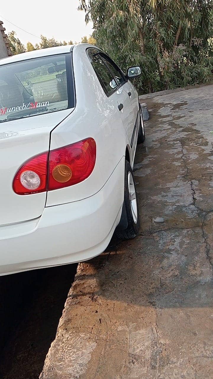 Corolla xli 8