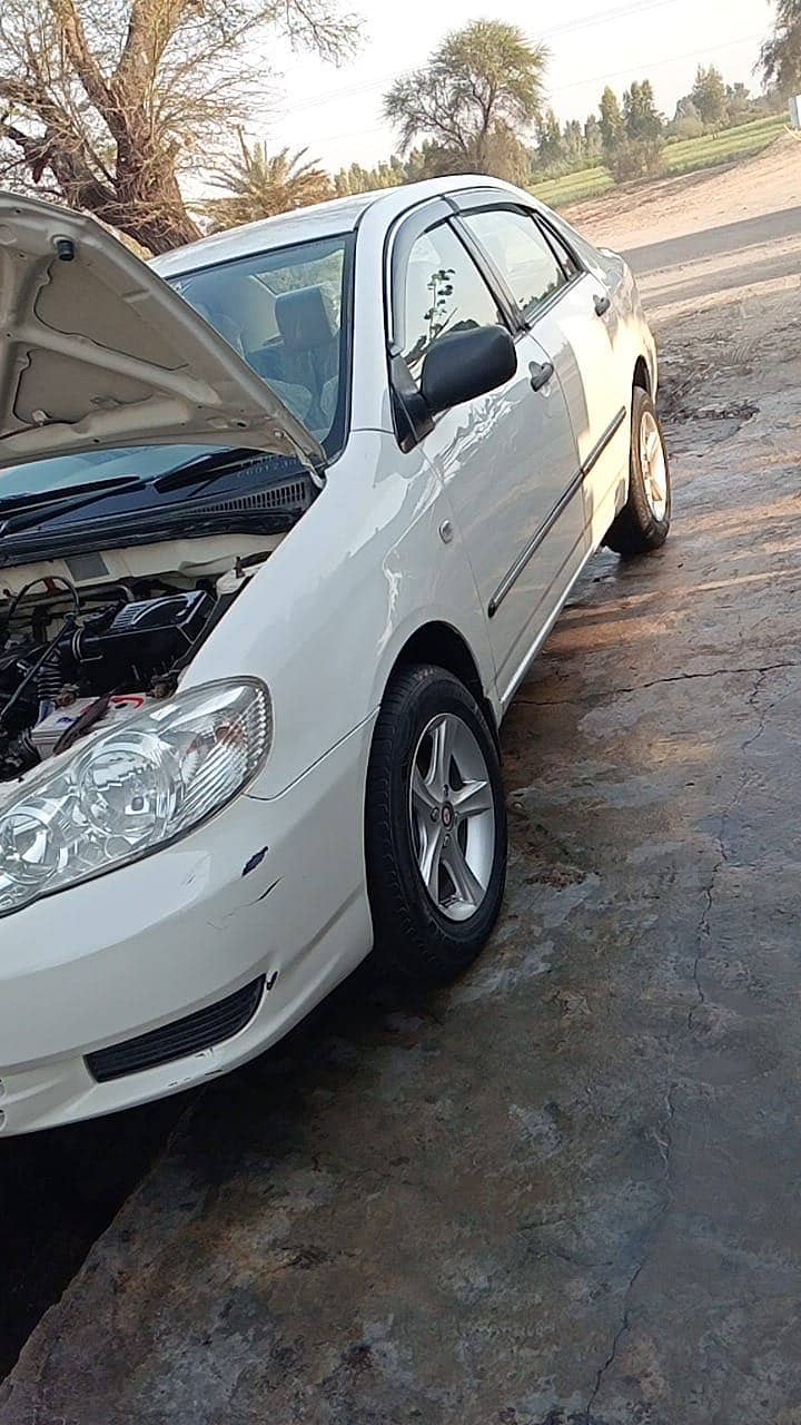 Corolla xli 11