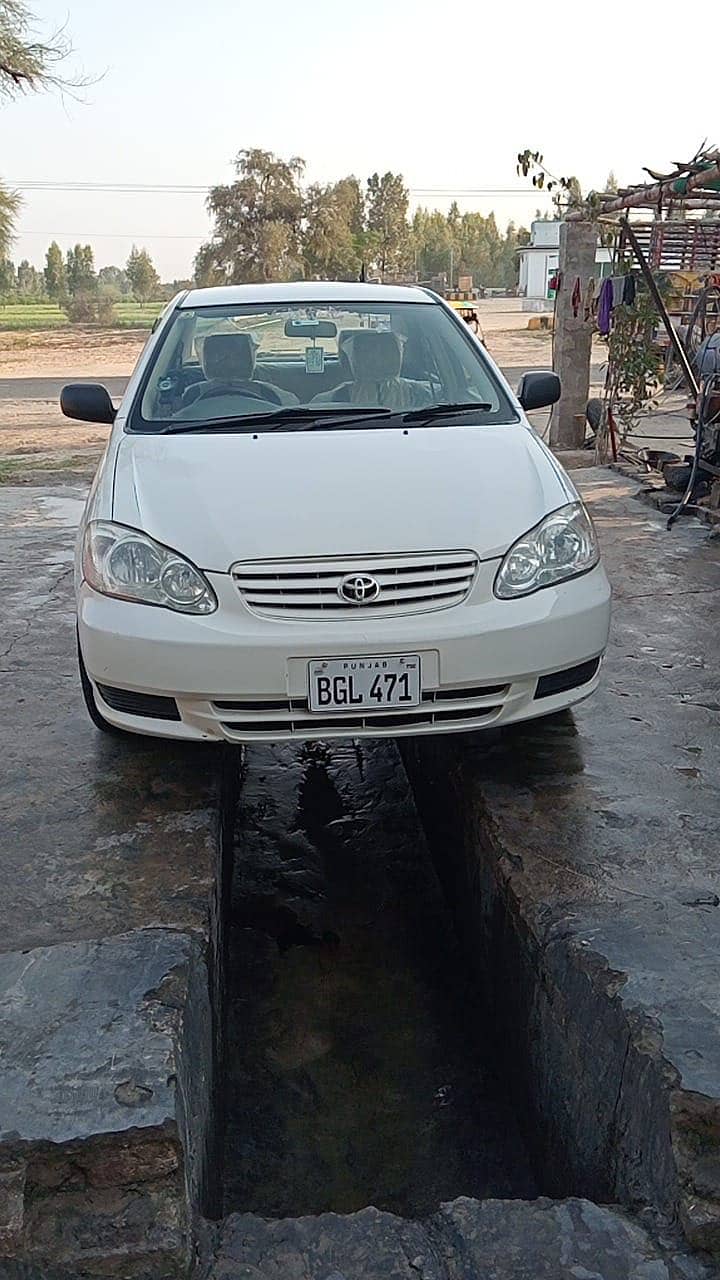Corolla xli 13