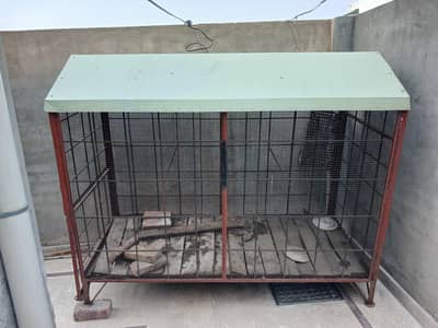 cage for sale