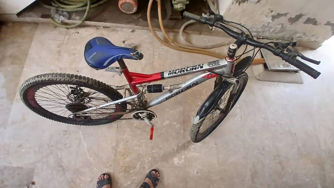 Morgan cycle 1