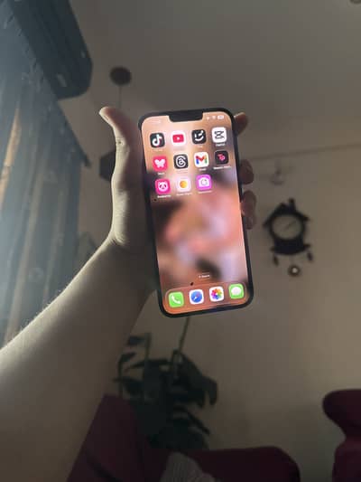 Bypass 13 promax all ok in use 256gb unlock iCloud hokta iska