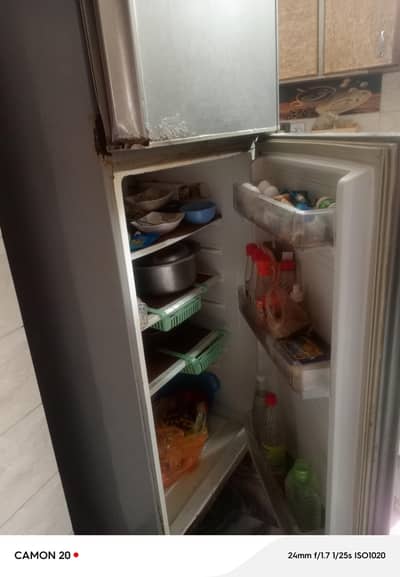 refrigerator pel ful size