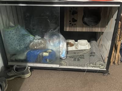 Cat house