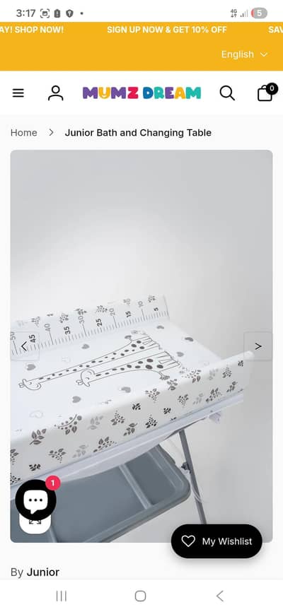 bathing tub and diaper changing station