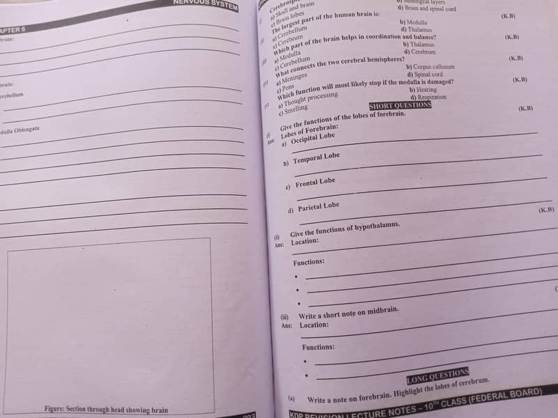Kips RnT notes Class 10th 1