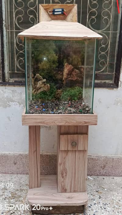 aquarium